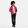 thumbnail image 1 of Regatta Womens Trutton Lightweight Padded Jacket, 1 of 7