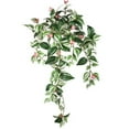 thumbnail image 1 of Regency International Foliage Greenery Flowering Tradescantia 29" Pink Green, 1 of 1