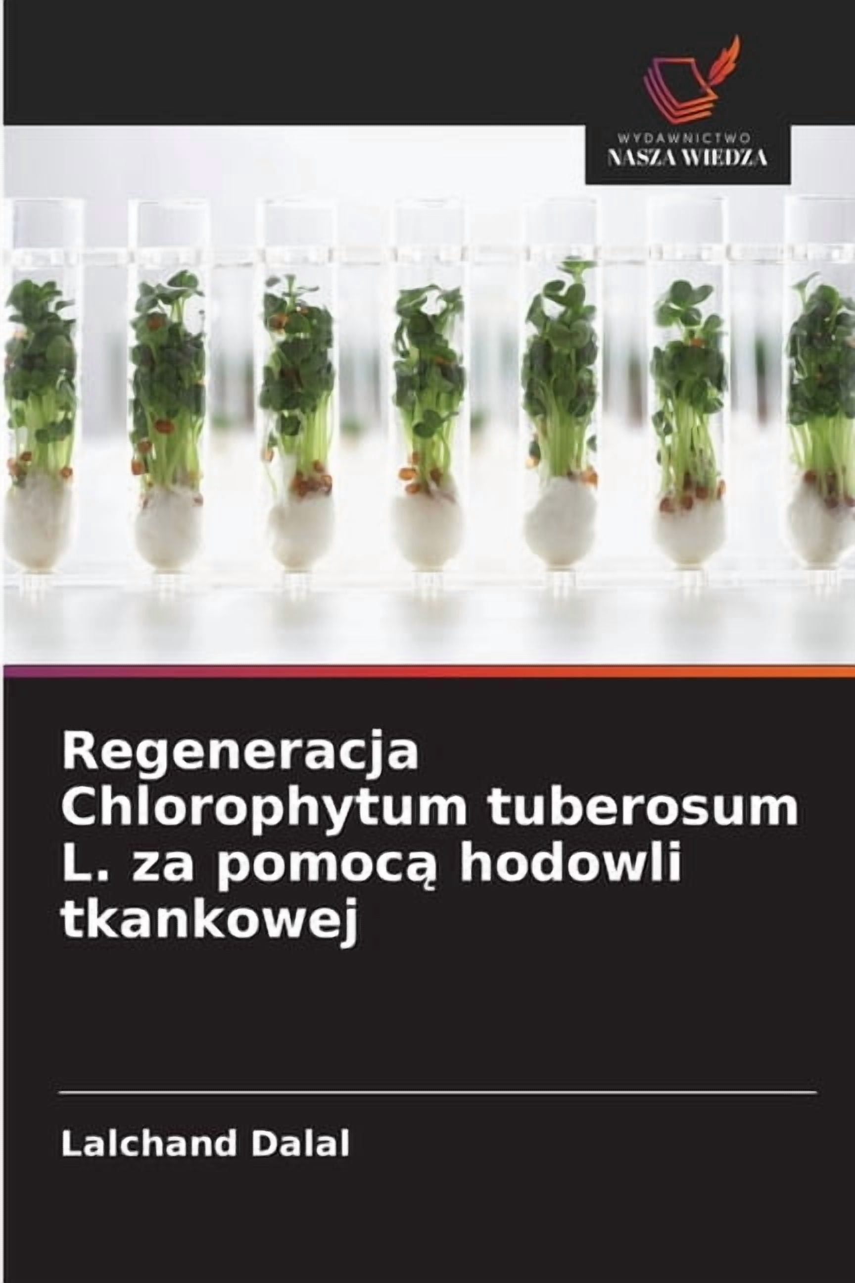 Regeneracja Chlorophytum tuberosum L. za pomocą hodowli tkankowej, (Paperback)