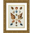 thumbnail image 1 of Regenfuss, Franz Michael 18x24 Gold Ornate Wood Framed with Double Matting Museum Art Print Titled - A Selection of Seashells, 1 of 4