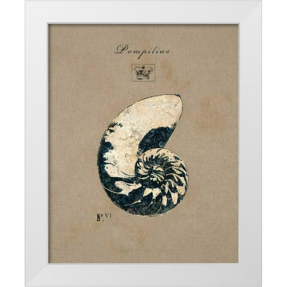 Regina Andrew Design 12x14 White Modern Wood Framed Museum Art Print Titled - Vintage Linen Nautilus