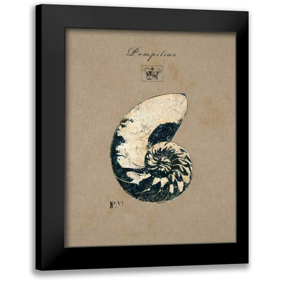 Regina Andrew Design 15x18 Black Modern Framed Museum Art Print Titled - Vintage Linen Nautilus