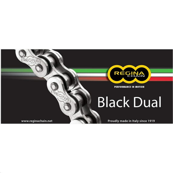 Regina 137ZRA/1000 525 ZRA Chain - 124 Links (Natural)
