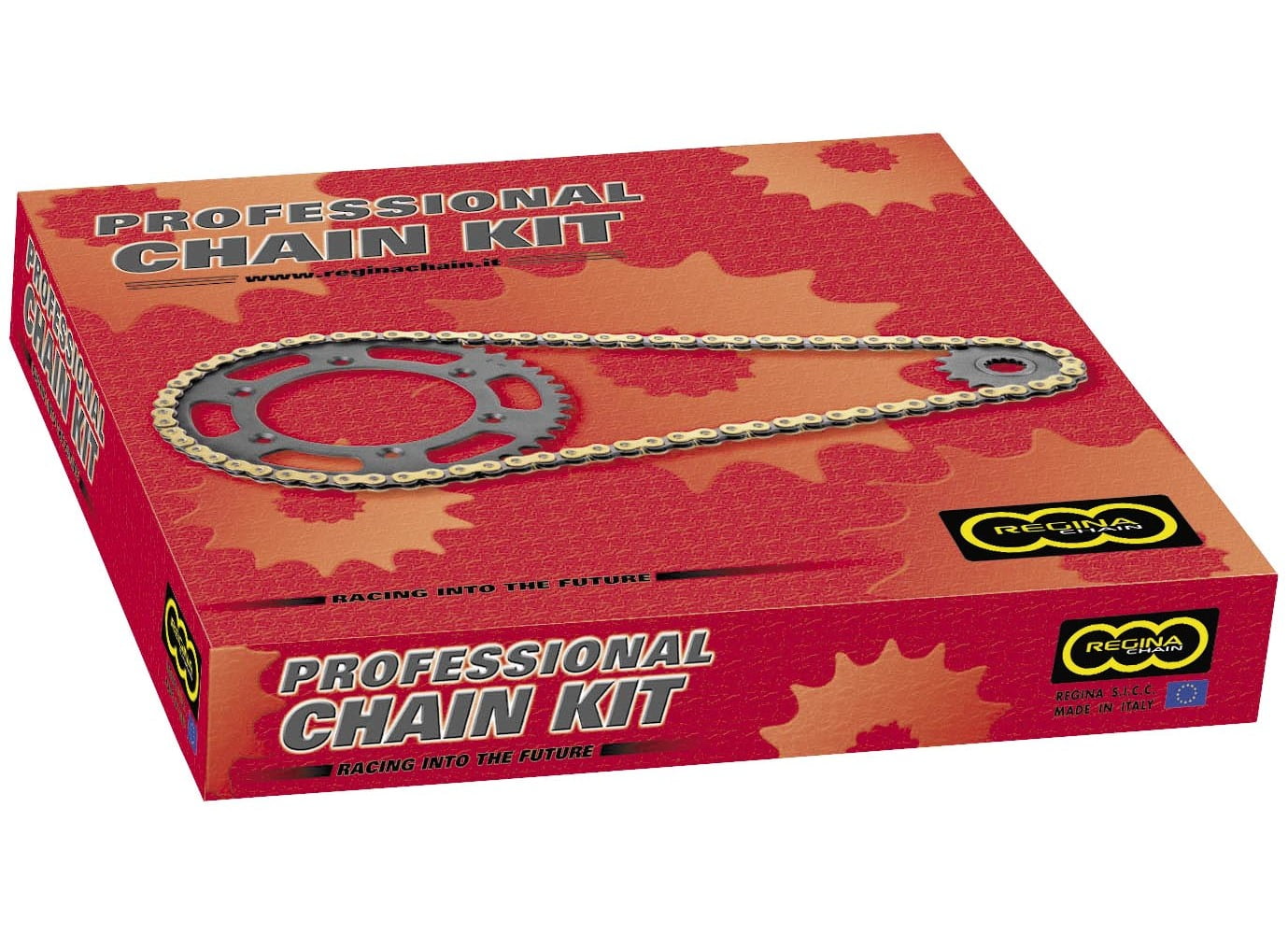 Regina Chain 5QUAD/098KYA017 OE Chain and Sprocket Kit