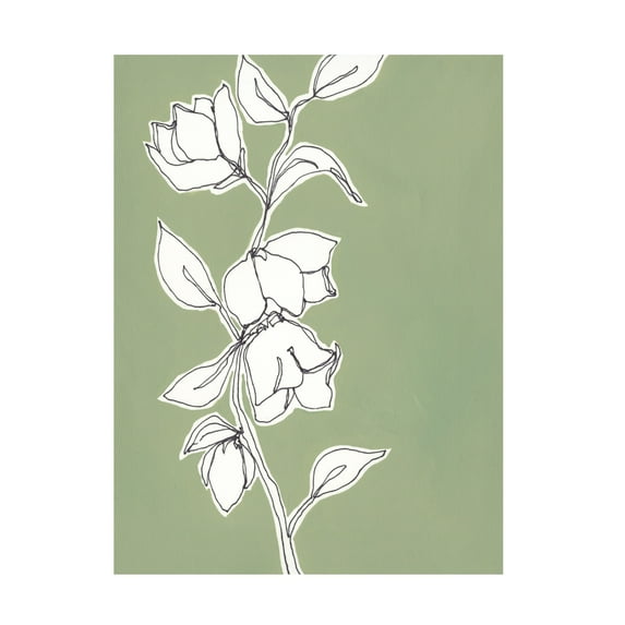 Regina Moore 'Botanic Drawing II' Canvas Art