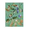 thumbnail image 1 of Regina Moore 'Nature on Sage I' Canvas Art, 1 of 4
