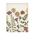 thumbnail image 1 of Regina Moore 'Pressed Flower Arrangement II' Canvas Art, 1 of 3