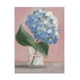 thumbnail image 1 of Regina Moore 'Single Hydrangea II' Canvas Art, 1 of 3