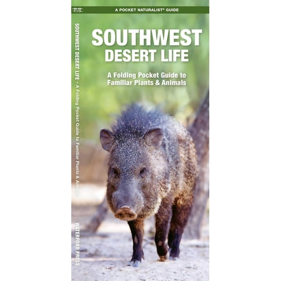 Regional Nature Guides: Southwestern Desert Life: A Folding Pocket Guide to Familiar Plants & Animals (Paperback)