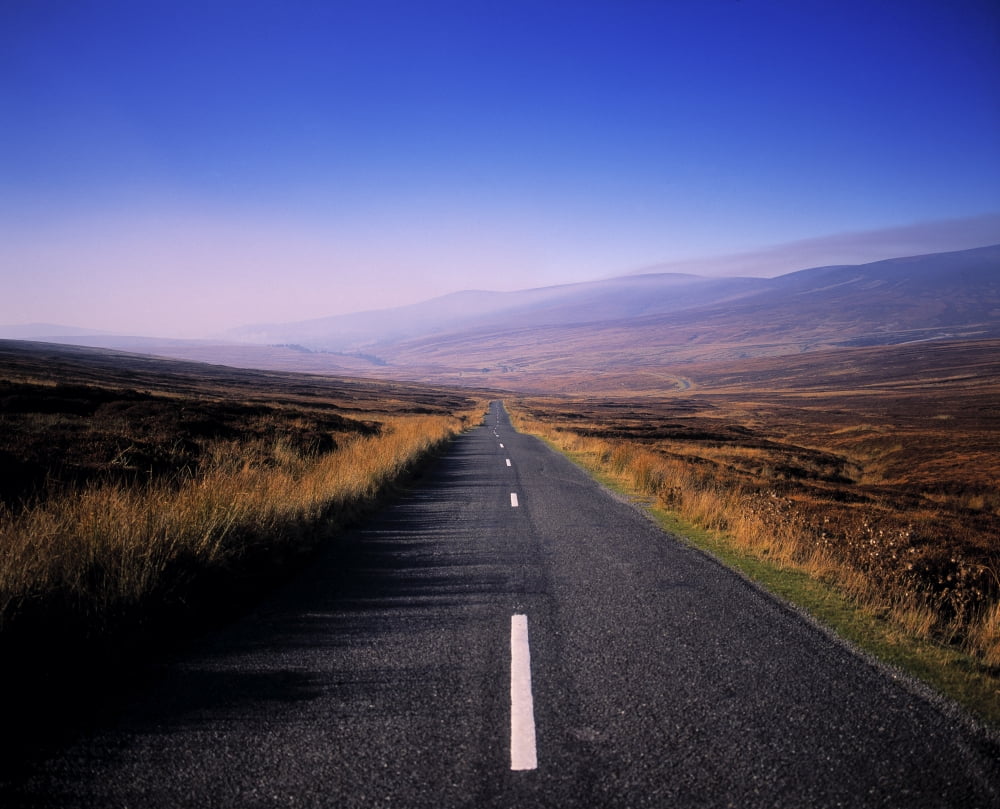 Regional Road In County Wicklow Republic Of Ireland Canvas Art - The Irish Image Collection Design Pics (30 x 24)
