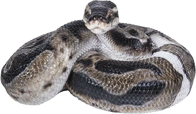 Regius Ball Python Statue Figurine - Home Garden Indoor/Outdoor New ...