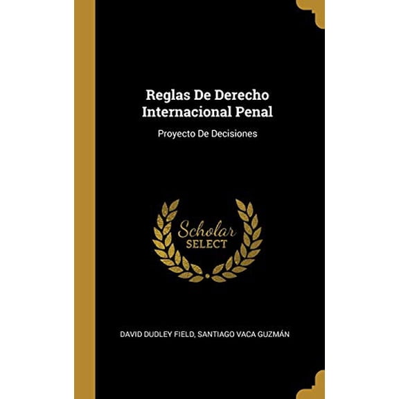 Reglas De Derecho Internacional Penal: Proyecto De Decisiones Spanish Edition Hardcover 0270402047 9780270402049 David Dudley Field, Santiago Vaca Guzmn