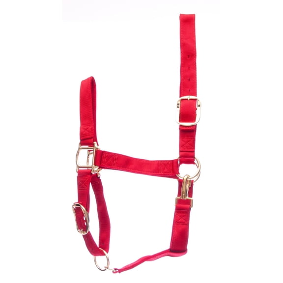 Regular Draft Horse Halter Color: Red