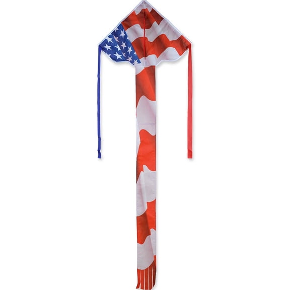 Regular Easy Flyer Kite - Patriotic