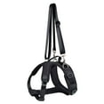 thumbnail image 1 of Rehabilitation Dog Lift Harness Dogs Slings for Dog Front Rear Legs Supporting for Elderly Injured Disabled Dogs, 1 of 8