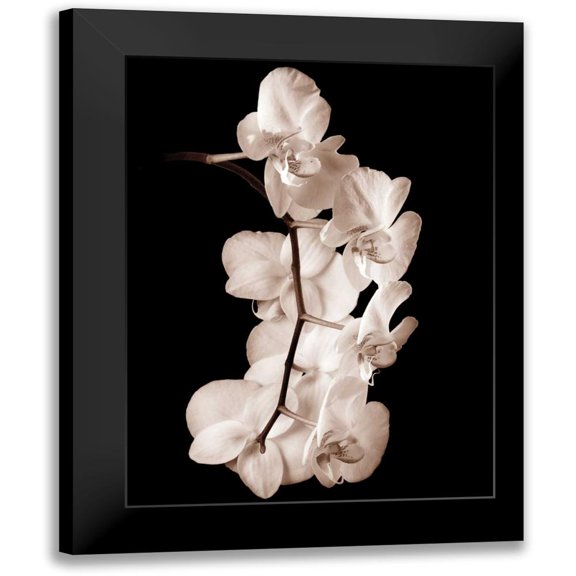 Rehner, John 12x14 Black Modern Framed Museum Art Print Titled - Orchid Dance I