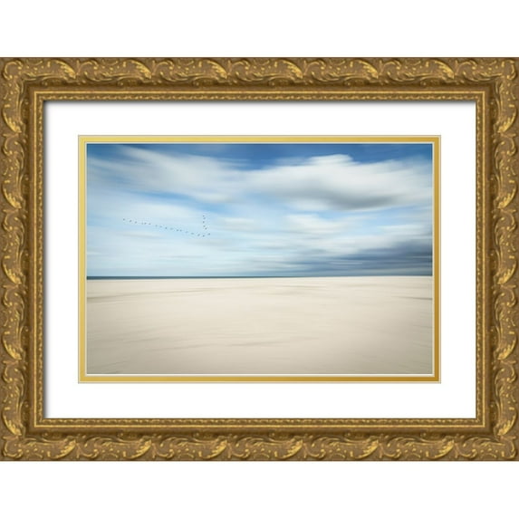 Reichelt, Dieter 24x17 Gold Ornate Wood Framed with Double Matting Museum Art Print Titled - Birds At The Seaside