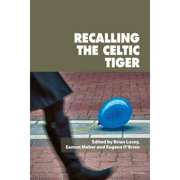Reimagining Ireland: Recalling the Celtic Tiger (Paperback)