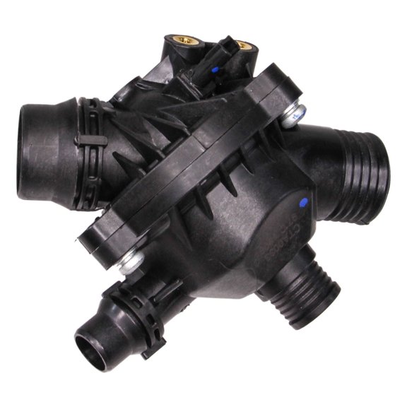 Rein Thermostat Assembly