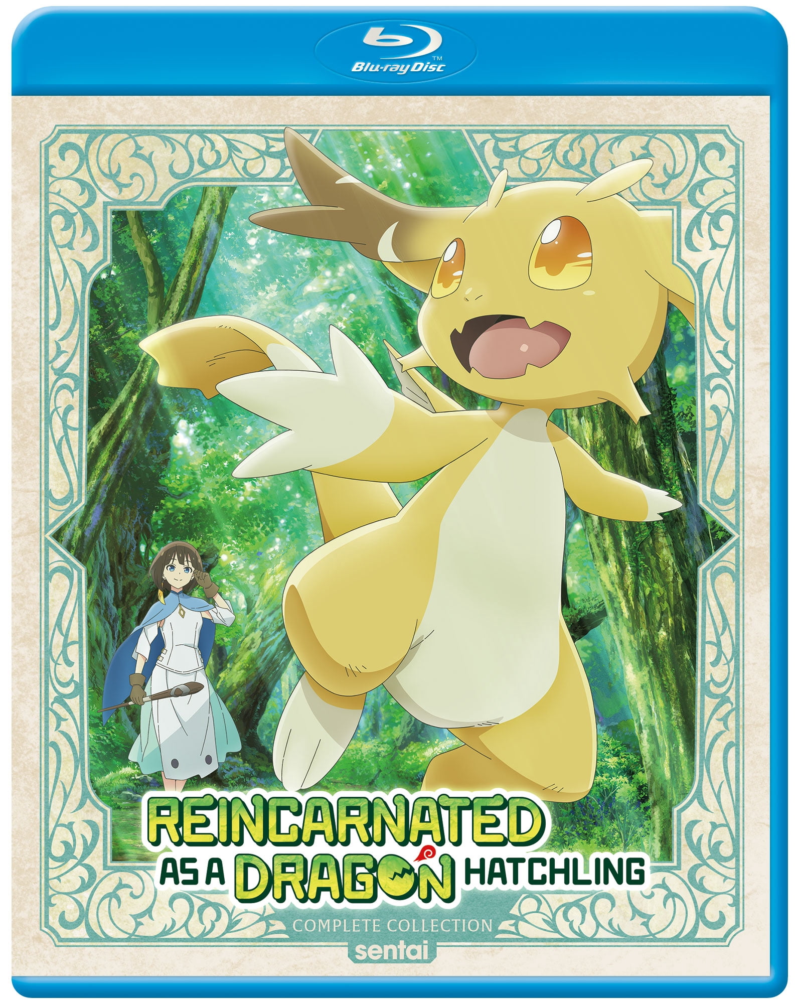Reincarnated as a Dragon Hatchling Complete Collection (Blu-ray), Anime, AMC
