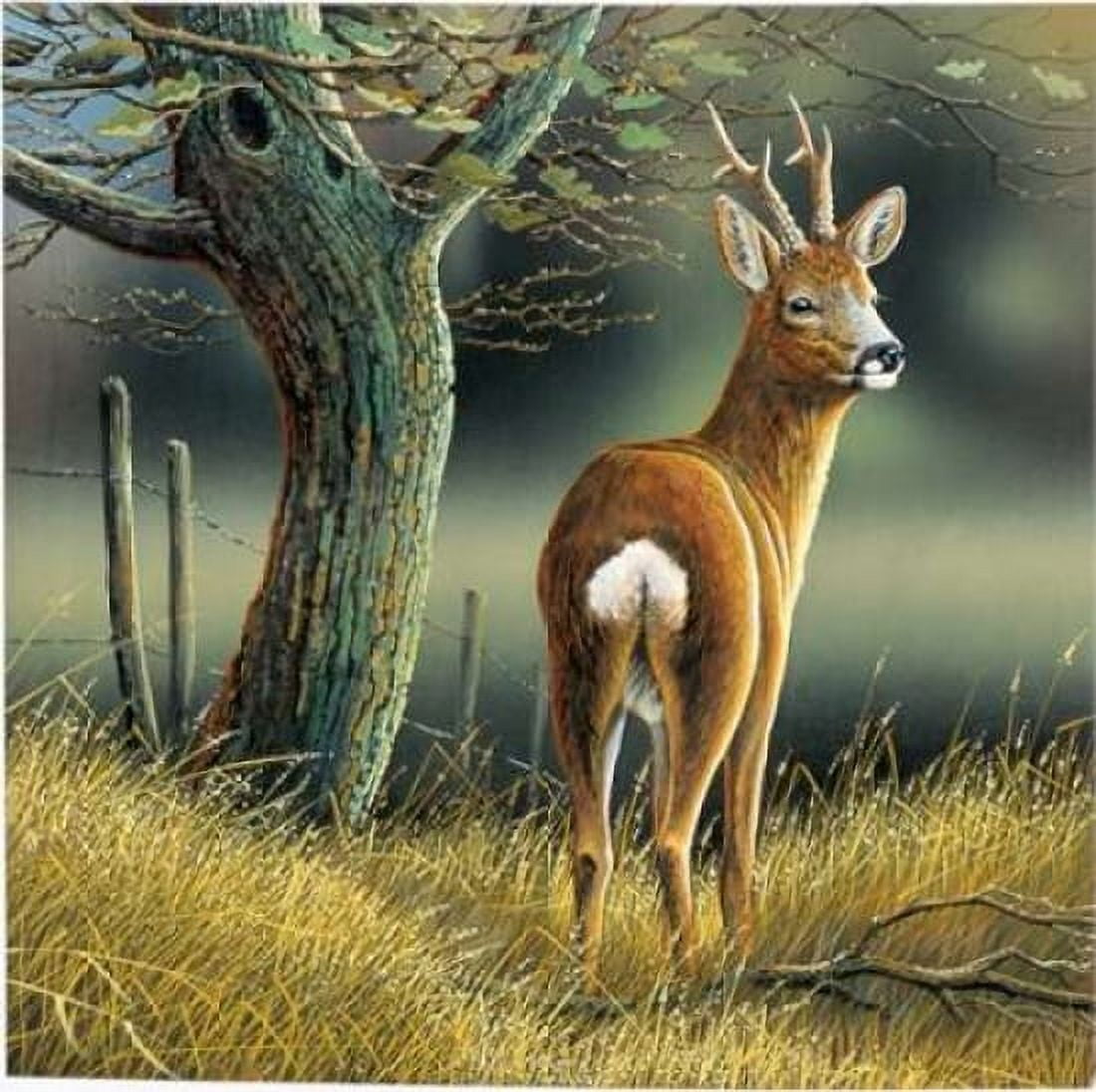Reindeer Canvas Art - Jan Weenink (24 x 24)