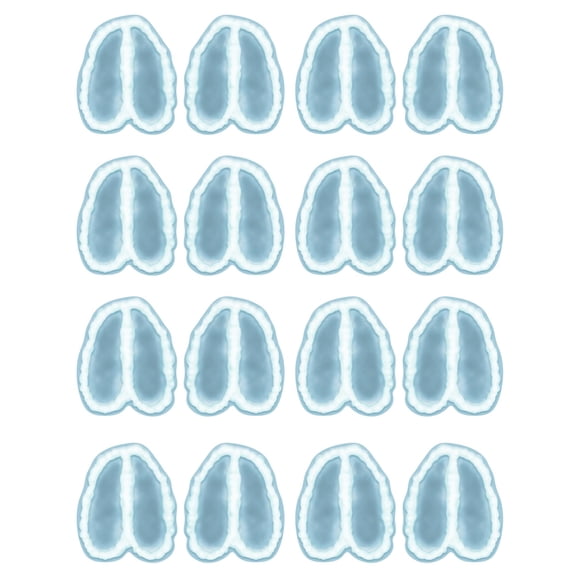 Reindeer Footprints Peel N Place