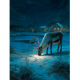 thumbnail image 1 of Reindeer Grazing Starry Night Winter Landscape Canvas Print, Suitable for Living Room, Office, Hallway, Cabin, Lodge, 1 of 8