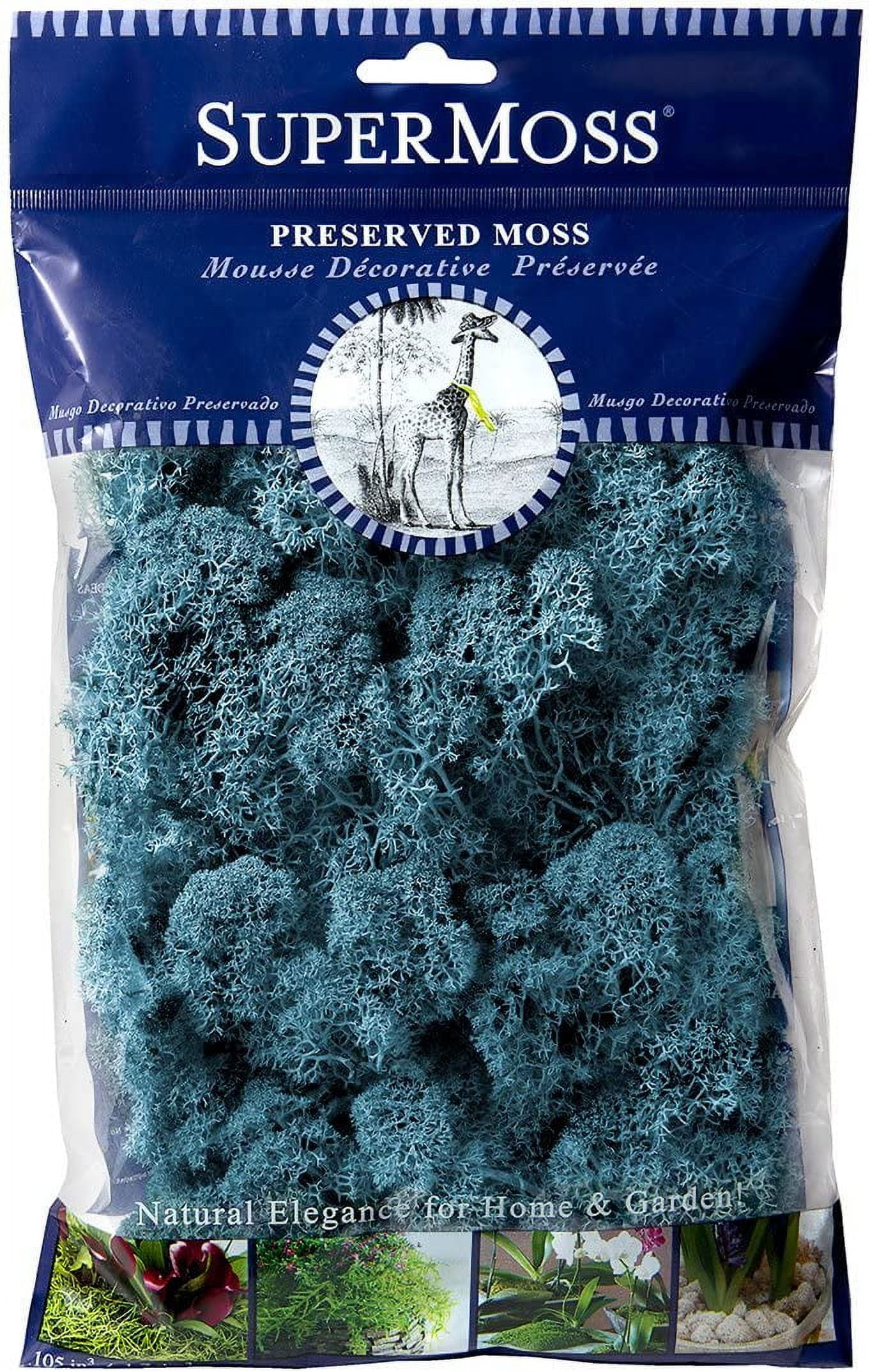 mossmoss VRTX AT84 MIDNIGHT MOSS