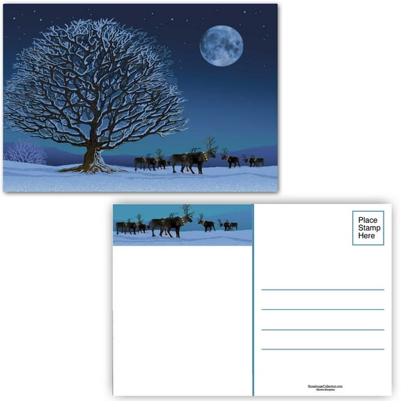 Reindeer Under Moonlight Holiday Postcard - 40 Holiday Postcards - 17117