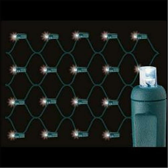 Reinders 134713-r Premium Grade 5mm LED Net Lights 100 Cool White Holiday Lights String with Green Wire