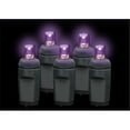 thumbnail image 1 of Reinders 5MM50P-B Premium Grade 5MM 50 LED Purple Frost Holiday Lights String with Black Wire, 1 of 1