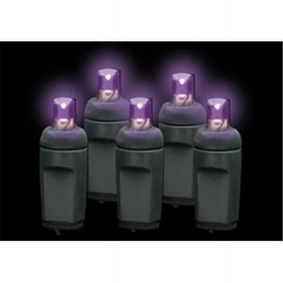 Reinders 5MM50P-B Premium Grade 5MM 50 LED Purple Frost Holiday Lights String with Black Wire