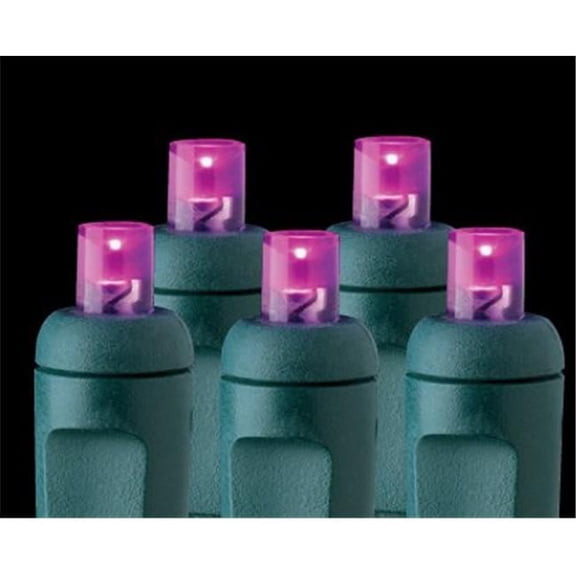 Reinders 5MM50PRP 5mm Wide Angle Lens LED Light Strings - Purple