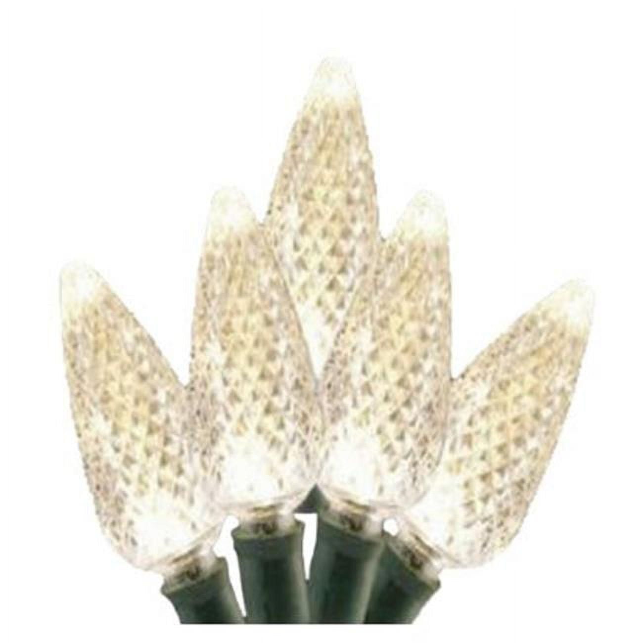 Reinders 84393R Warm White C9 LED Christmas Tree Lights