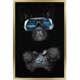 thumbnail image 1 of Reinders: Animals - Gaming Dog Wall Poster, 22.375" x 34" Framed, 1 of 5