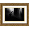 thumbnail image 1 of Reindl, Doris 18x13 Gold Ornate Wood Framed with Double Matting Museum Art Print Titled - Stag, 1 of 4