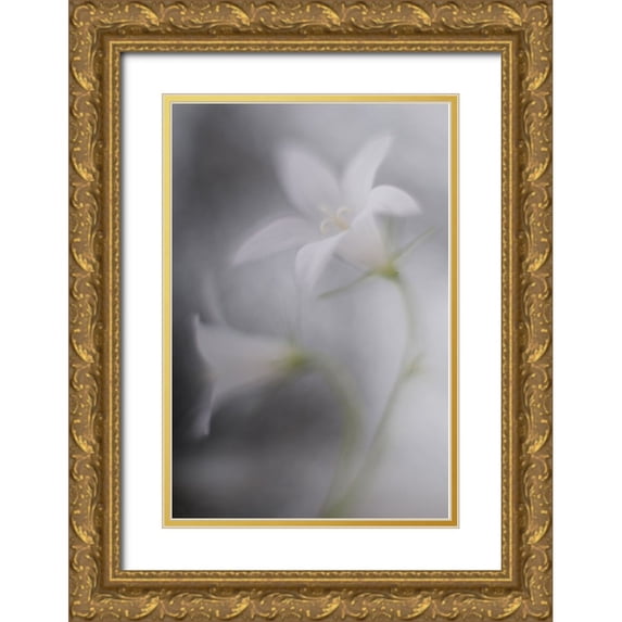 Reindl, Doris 23x32 Gold Ornate Wood Framed with Double Matting Museum Art Print Titled - Bells