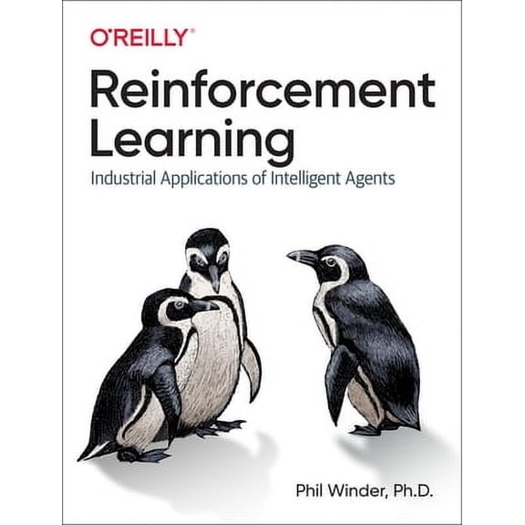 Reinforcement Learning: Industrial Applications of Intelligent Agents (Paperback)