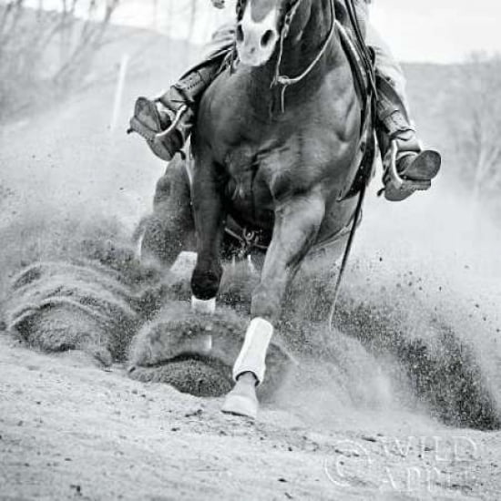 Reining In Canvas Art - Lisa Cueman (24 x 24)