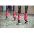 thumbnail image 1 of Reinsman  APEX 4-pack Sport Boots Turq LARGE, 1 of 5