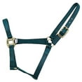 thumbnail image 1 of Reinsman Classic Nylon Halter Cob HunterGreen, 1 of 1