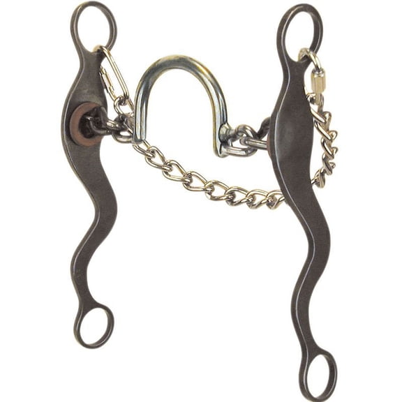 Reinsman Classic Series High Port Chain Bit