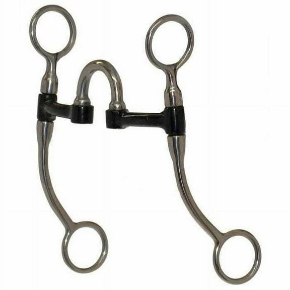 Reinsman DR053 Sweet Iron Correction Western Bit 5 inch