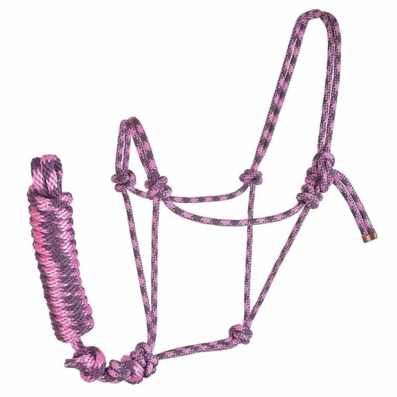 Reinsman, Halter and Lead for Horses, Durable Polypropylene Adjustable Training Gear - Pink & Purple
