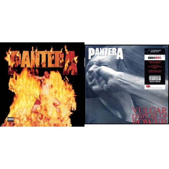 Reinventing The Steel & Vulgar Display Of Power [LP Vinyl Bundle]