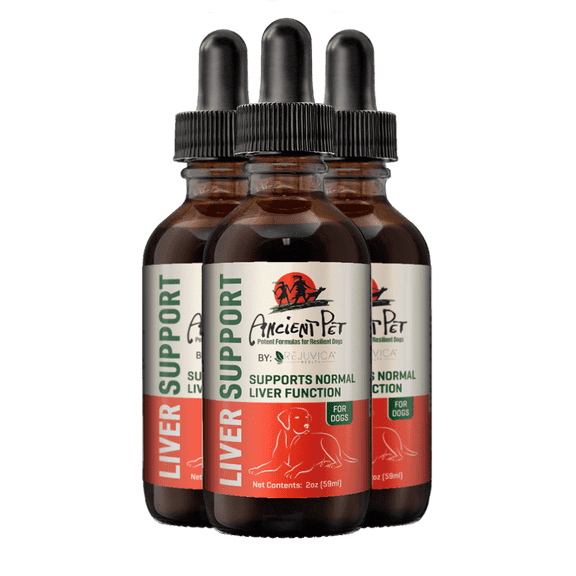 Rejuvica Health Ancient Pet Liver - Liver Support Liquid Supplement for Dogs - Milk Thistle, Dandelion, & More! - 3 Pack Value