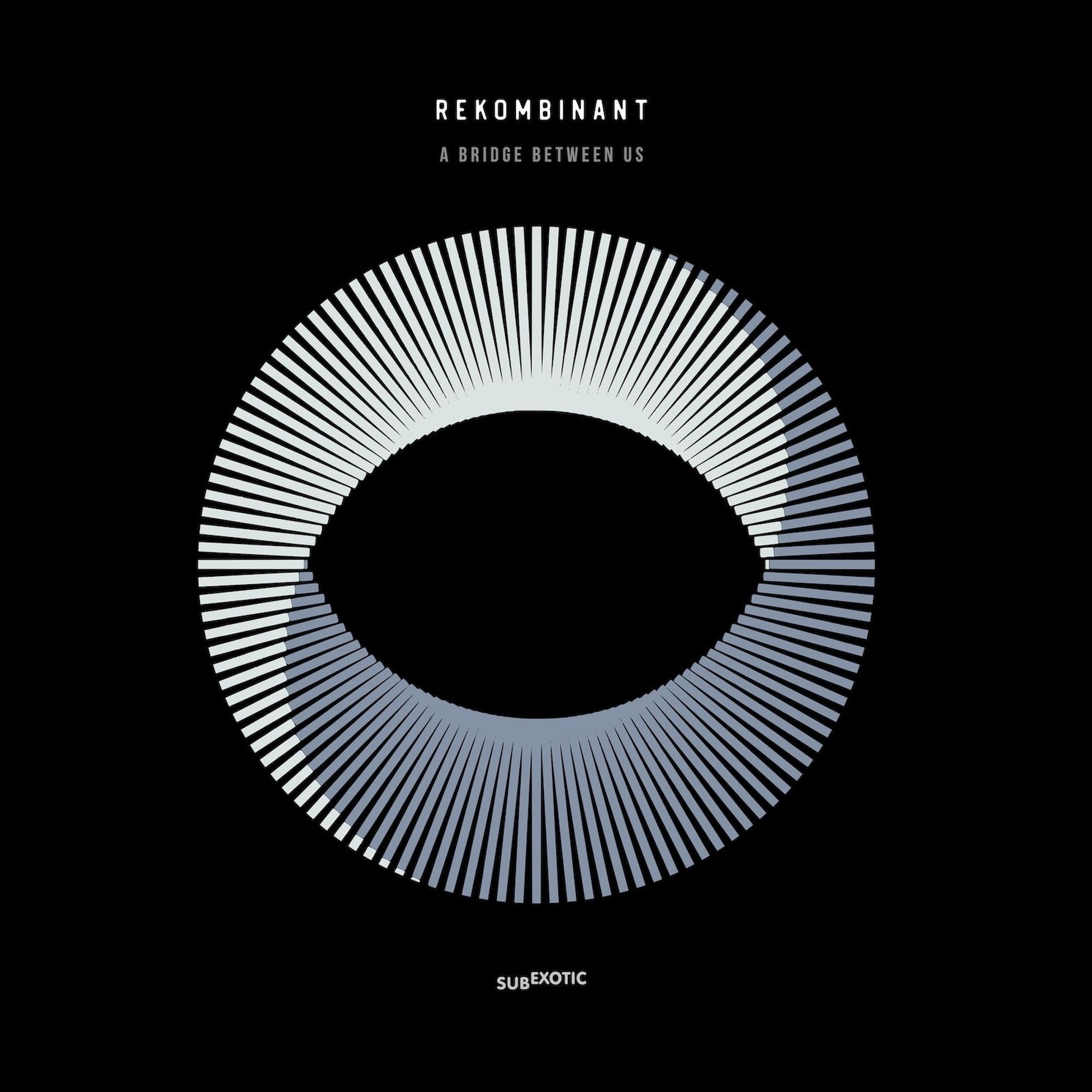 Rekombinant - A Bridge Between Us - Music & Performance - Vinyl