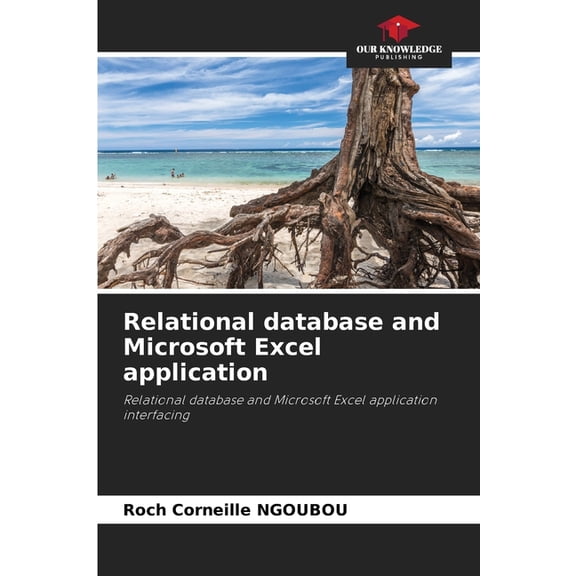 Relational database and Microsoft Excel application, (Paperback)