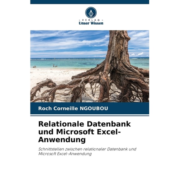 Relationale Datenbank und Microsoft Excel-Anwendung, (Paperback)