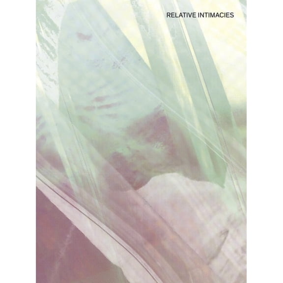 Relative Intimacies : Intersubjectivity, Volume 3 (Paperback)